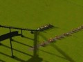 Rollercoaster tycoon