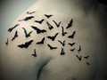 Can fly