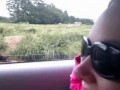 Niedźwiedzie są jak ludzie