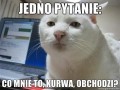 Zajebiście ważne pytanie