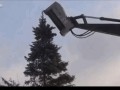 Jak kasować drzewa