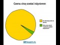 Inżynier 1