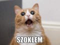 Szokłem