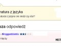Matura z samosią