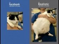 Facebook realistick