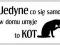 Jedynie on