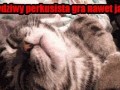 Perkusista