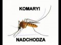 Komary