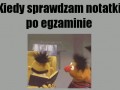 Kiedy sprawdzam notatki