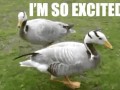 I39m so excited