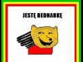 Jestę bednarkę