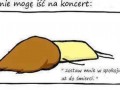 Kiedy nie mogę iść na koncert