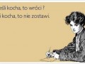 Kocha to wróci
