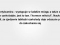 Jemy czekolade 1