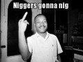 Niggers gonna nig