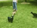 Ktoś tu ma adhd