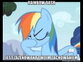 Dash