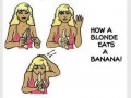 Blondi
