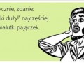 Jaki duży