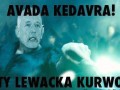 Korwimort