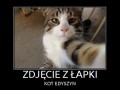 Zdjęcie z łapki