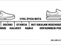 Cykl życia buta