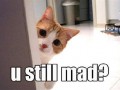 Ustillmad