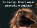 Po tylu latach