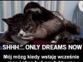 Mózg wcześnie rano