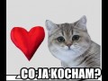 Co ja kocham