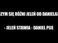 Czym się różni jeleń od daniela