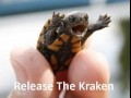 Releasecraken