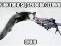 Role się odwróciły