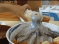 Seafood