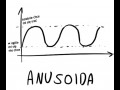 Anusoida