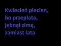 Kwiecien plecień