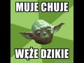 Chuj muje dzikie węże