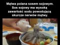 Naukowe gify