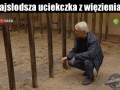 Najsłodsza ucieczka ever