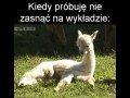 Poranne wykłady
