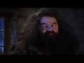 Tak bardzo hagrid