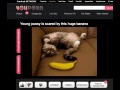 Playing with banana