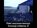 Formacja militarna