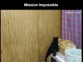 Mission impossible