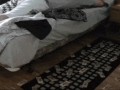 Pobudka