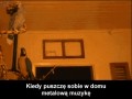 Papużki lubią metal