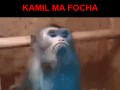Kamil