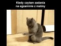 Egzamin z matmy