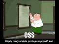 Typowy programista
