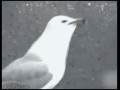 Wait for it
